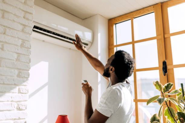 Best HVAC air duct cleaning  in Luna Pier, MI